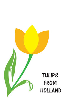 Tulips from Holland