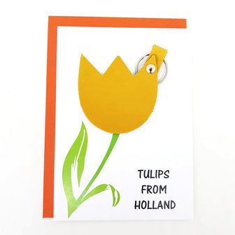 Tulips from Holland