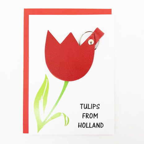 Tulips from Holland