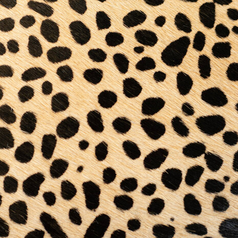 Elly Baby Cheetah Beige